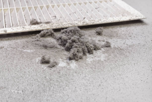 Best Affordable Air Duct Cleaning  in Braham, MN