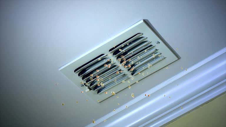 Best Affordable Duct Cleaning Services  in Braham, MN