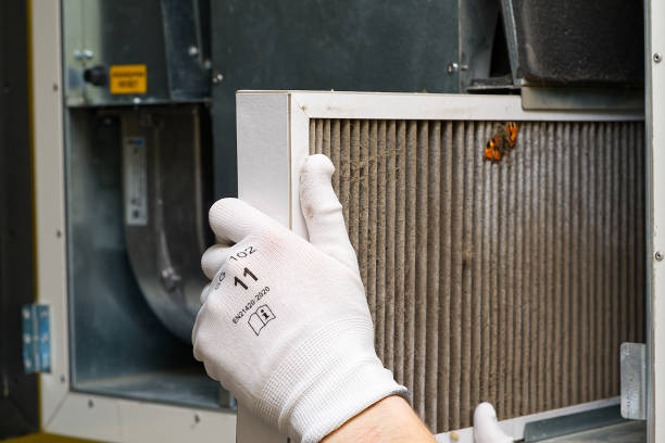 Best Local Air Duct Cleaning Services  in Braham, MN