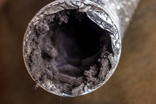 Best HVAC Maintenance and Cleaning  in Braham, MN